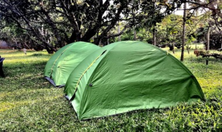 GLAMPING POD DAY OUTING